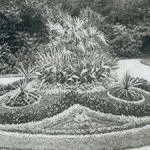 Altes Schwarz-Weiss Bild von der Orangerie