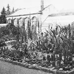 Altes Schwarz-Weiss Bild von der Orangerie